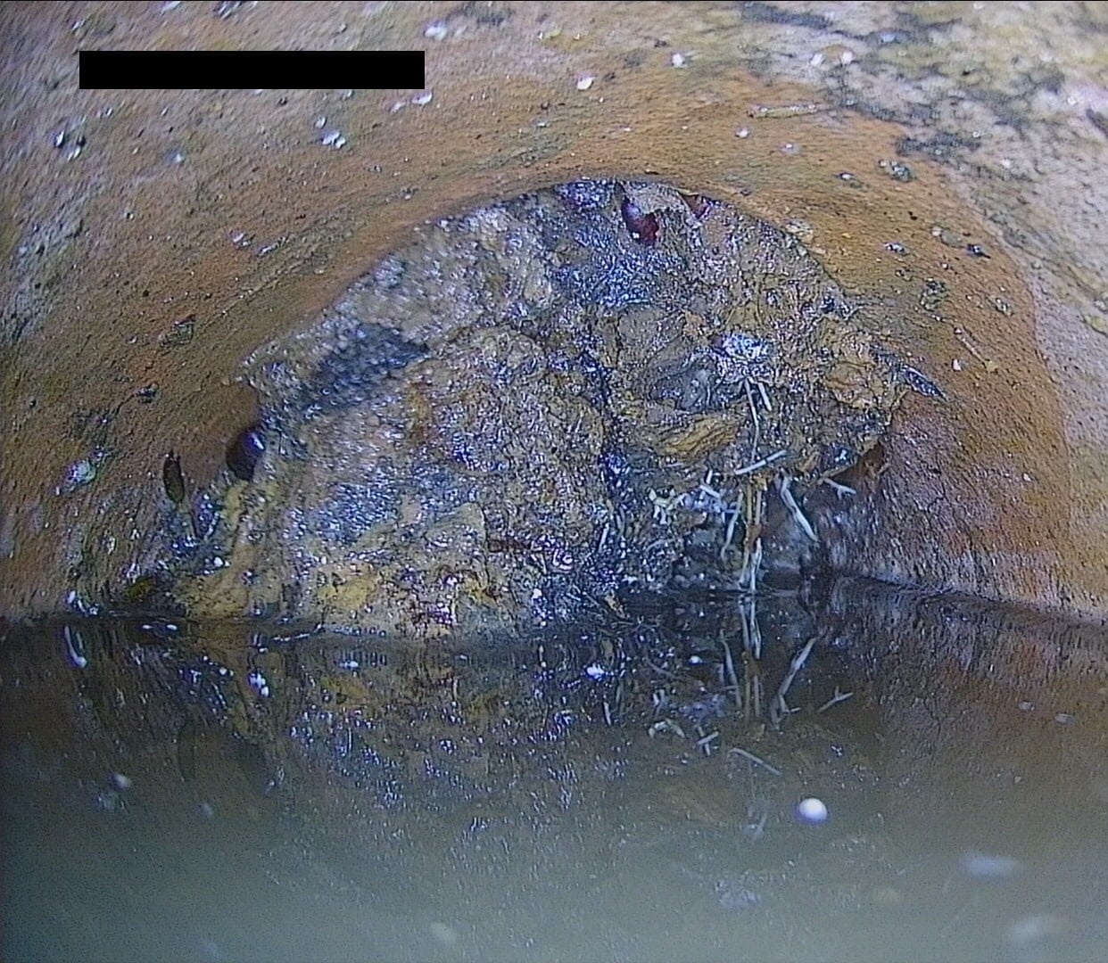 Major Root Intrusion